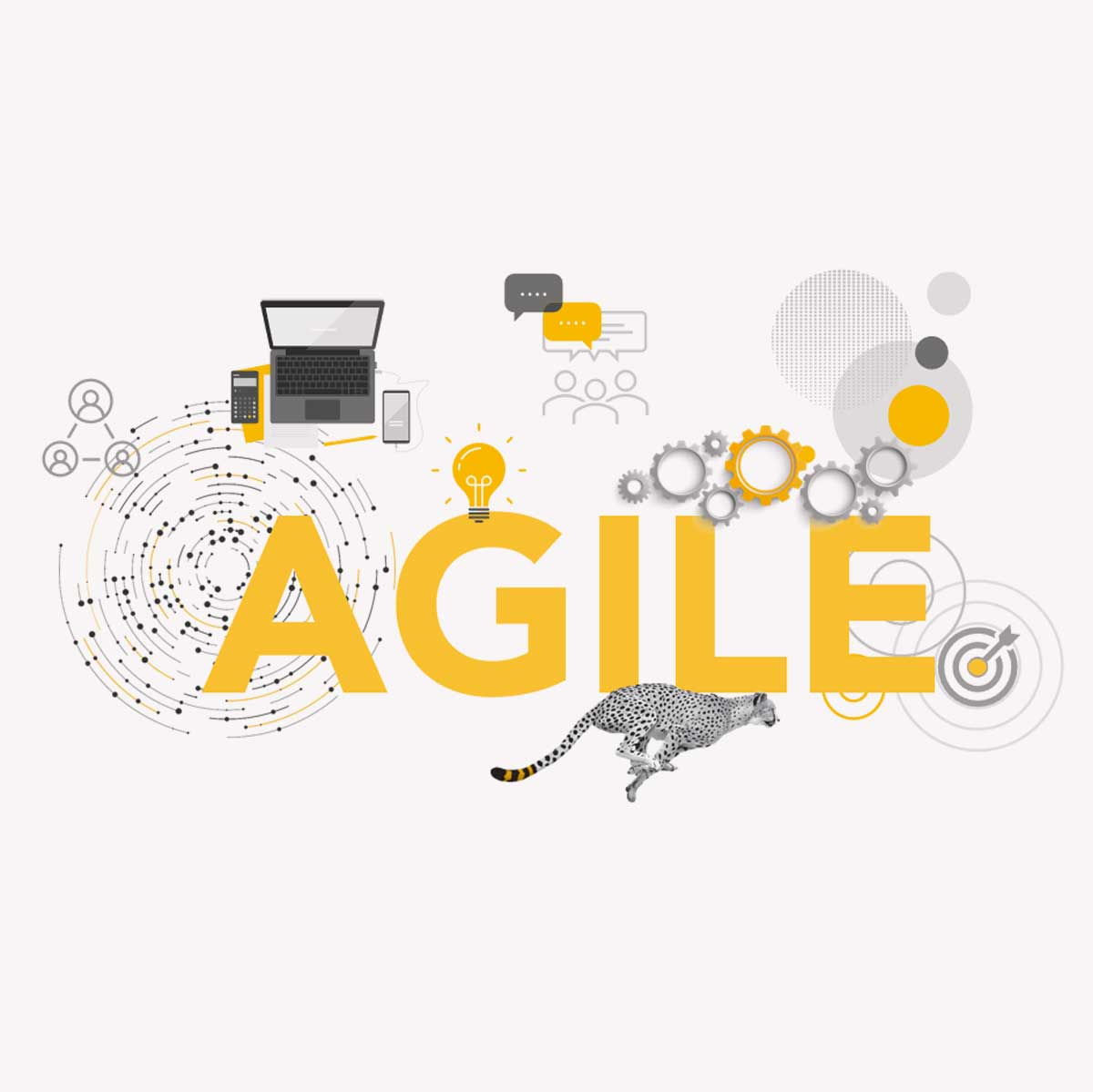 Training Development